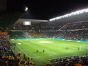Celtic - HSV