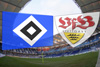HSV - Saison0809