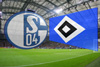 HSV - Saison0809